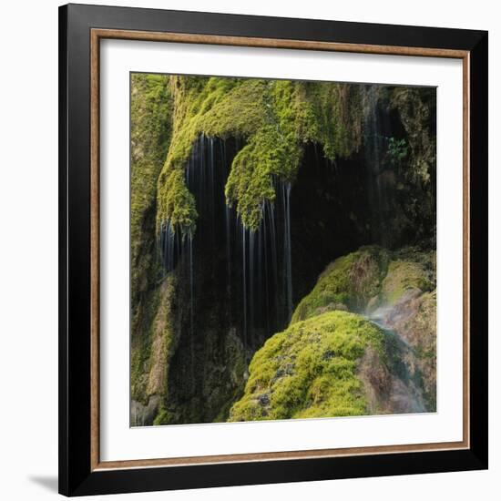 Water Running down Vegetation Covered Rocks-Micha Pawlitzki-Framed Photographic Print