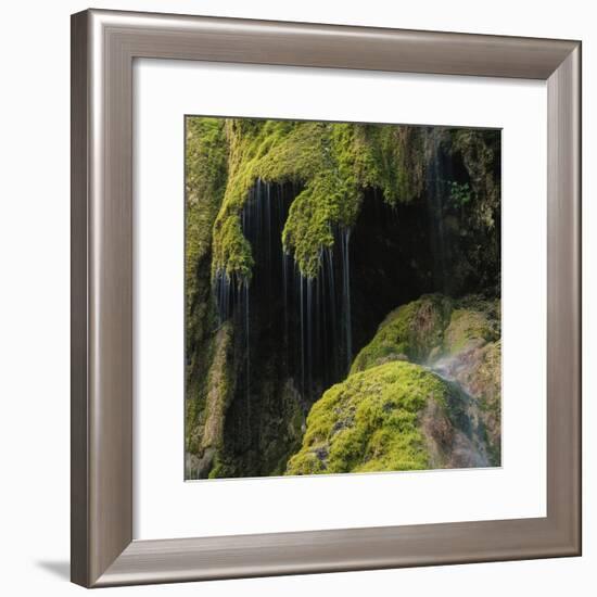 Water Running down Vegetation Covered Rocks-Micha Pawlitzki-Framed Photographic Print