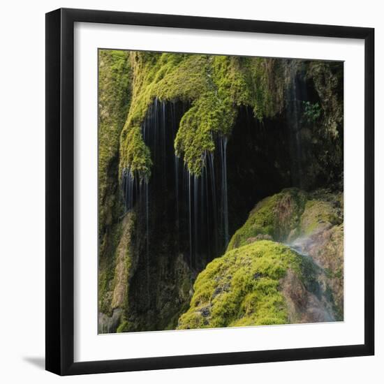 Water Running down Vegetation Covered Rocks-Micha Pawlitzki-Framed Photographic Print