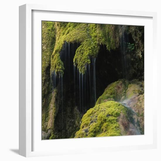 Water Running down Vegetation Covered Rocks-Micha Pawlitzki-Framed Photographic Print