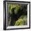 Water Running down Vegetation Covered Rocks-Micha Pawlitzki-Framed Photographic Print