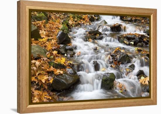 Water Running over Rocks in Wahkeena Creek-Craig Tuttle-Framed Premier Image Canvas