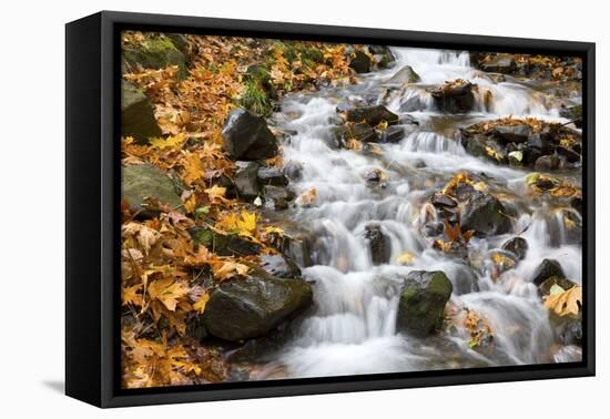 Water Running over Rocks in Wahkeena Creek-Craig Tuttle-Framed Premier Image Canvas