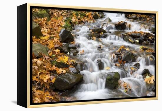 Water Running over Rocks in Wahkeena Creek-Craig Tuttle-Framed Premier Image Canvas