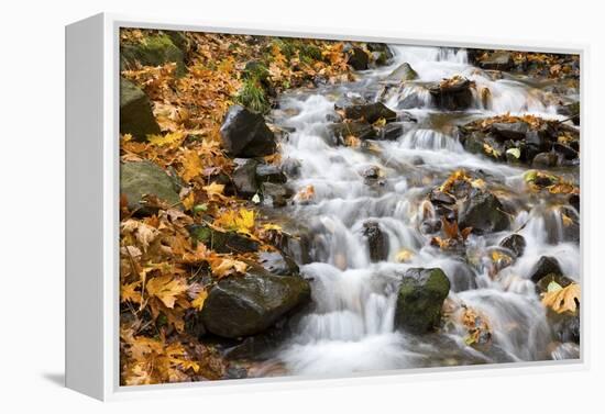 Water Running over Rocks in Wahkeena Creek-Craig Tuttle-Framed Premier Image Canvas