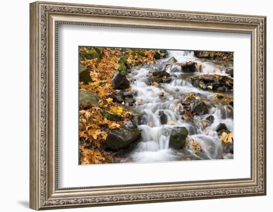 Water Running over Rocks in Wahkeena Creek-Craig Tuttle-Framed Photographic Print