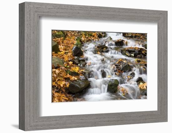 Water Running over Rocks in Wahkeena Creek-Craig Tuttle-Framed Photographic Print