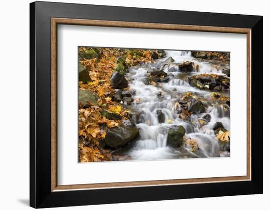 Water Running over Rocks in Wahkeena Creek-Craig Tuttle-Framed Photographic Print