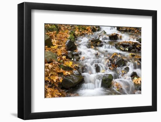 Water Running over Rocks in Wahkeena Creek-Craig Tuttle-Framed Photographic Print