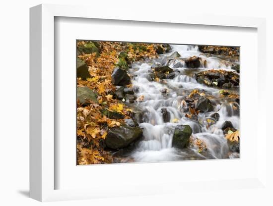 Water Running over Rocks in Wahkeena Creek-Craig Tuttle-Framed Photographic Print