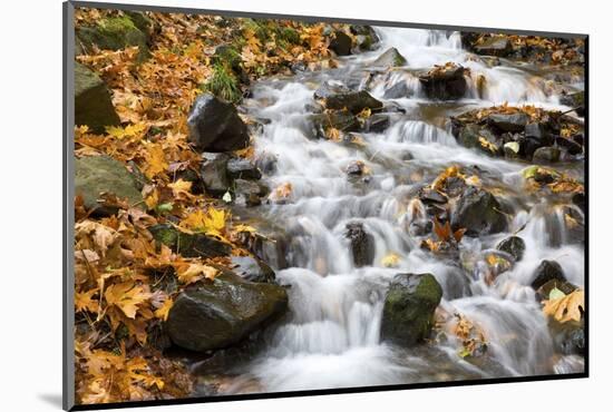 Water Running over Rocks in Wahkeena Creek-Craig Tuttle-Mounted Photographic Print