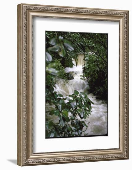 Water Rushing over Stones in Lush Jungle-John Dominis-Framed Photographic Print