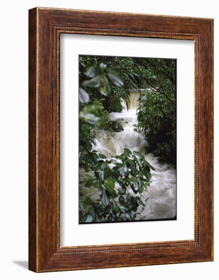 Water Rushing over Stones in Lush Jungle-John Dominis-Framed Photographic Print