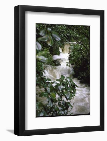 Water Rushing over Stones in Lush Jungle-John Dominis-Framed Photographic Print