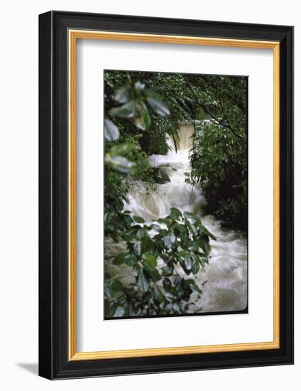 Water Rushing over Stones in Lush Jungle-John Dominis-Framed Photographic Print