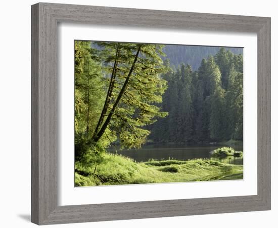 Water's Edge-Art Wolfe-Framed Photographic Print