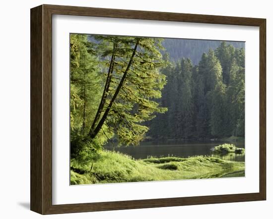 Water's Edge-Art Wolfe-Framed Photographic Print