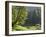 Water's Edge-Art Wolfe-Framed Photographic Print