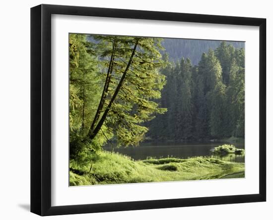 Water's Edge-Art Wolfe-Framed Photographic Print