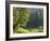 Water's Edge-Art Wolfe-Framed Photographic Print