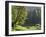 Water's Edge-Art Wolfe-Framed Photographic Print