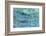 Water Series #5-Betsy Cameron-Framed Giclee Print