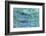 Water Series #5-Betsy Cameron-Framed Giclee Print