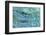 Water Series #5-Betsy Cameron-Framed Giclee Print