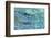 Water Series #5-Betsy Cameron-Framed Giclee Print