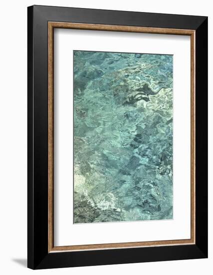 Water Series #8-Betsy Cameron-Framed Art Print