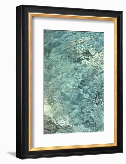 Water Series #8-Betsy Cameron-Framed Art Print