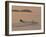 Water Skier, Dinard Bay, Cote d'Emeraude (Emerald Coast), Cotes d'Armor, Brittany, France-David Hughes-Framed Photographic Print
