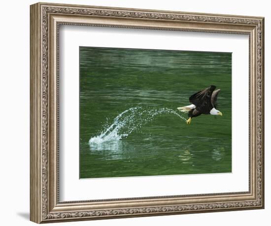 Water Skipping-Art Wolfe-Framed Photographic Print