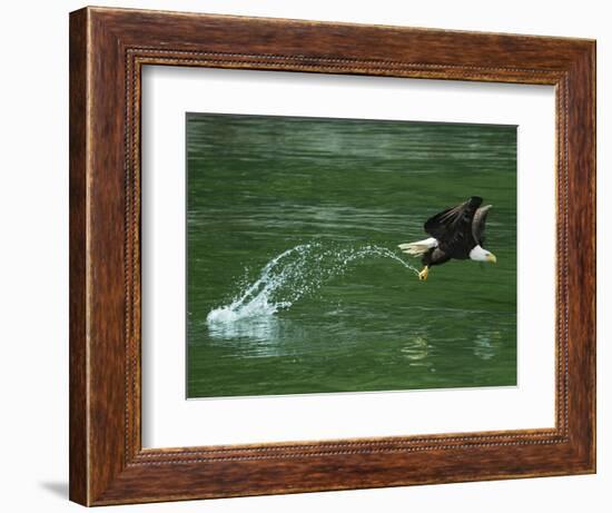 Water Skipping-Art Wolfe-Framed Photographic Print