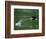 Water Skipping-Art Wolfe-Framed Photographic Print