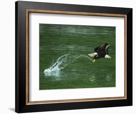 Water Skipping-Art Wolfe-Framed Photographic Print