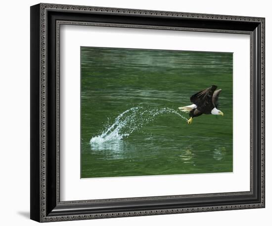 Water Skipping-Art Wolfe-Framed Photographic Print