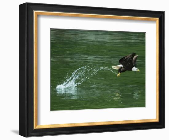 Water Skipping-Art Wolfe-Framed Photographic Print