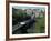 Water Slide Ride, Chessington World of Adventure, Surrey, England, United Kingdom, Europe-Charles Bowman-Framed Photographic Print