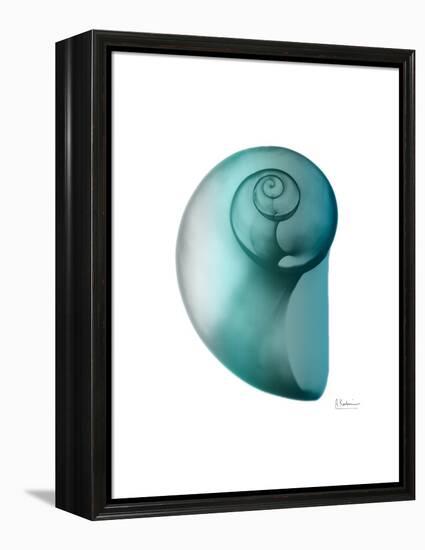 Water Snail 2-Albert Koetsier-Framed Stretched Canvas