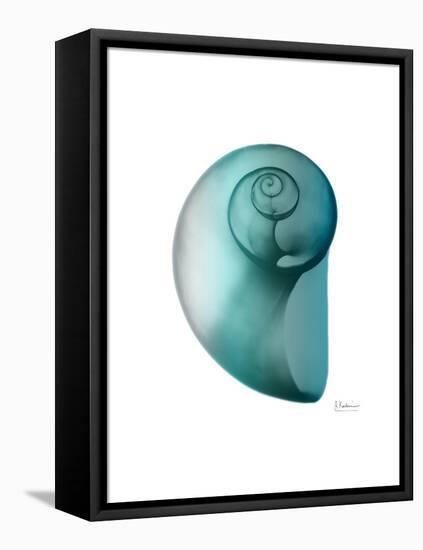 Water Snail 2-Albert Koetsier-Framed Stretched Canvas