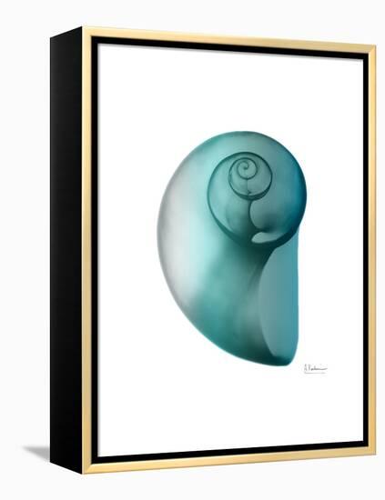 Water Snail 2-Albert Koetsier-Framed Stretched Canvas