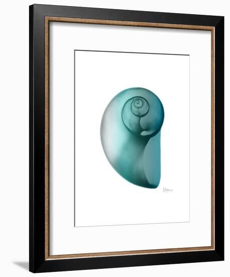 Water Snail 2-Albert Koetsier-Framed Art Print