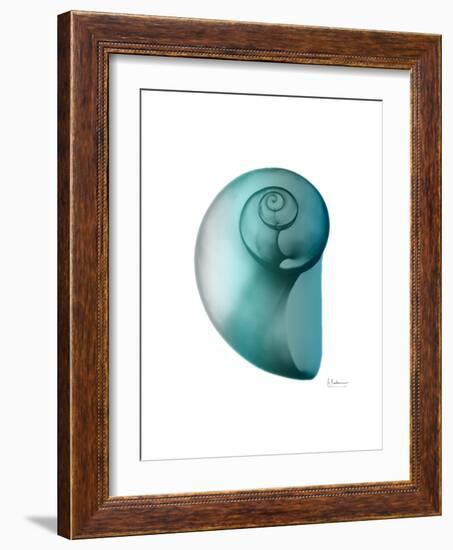 Water Snail 2-Albert Koetsier-Framed Art Print