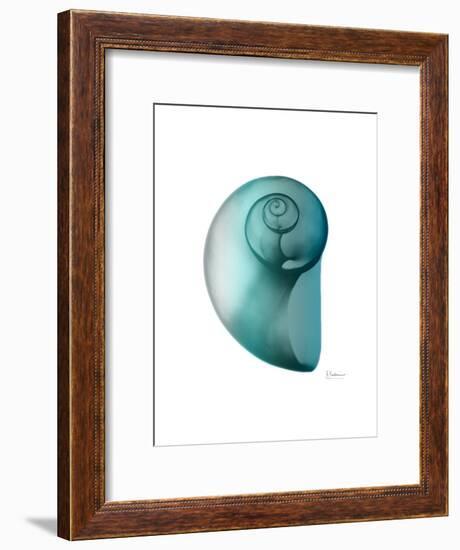 Water Snail 2-Albert Koetsier-Framed Art Print