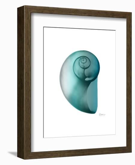 Water Snail 2-Albert Koetsier-Framed Art Print