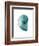 Water Snail 2-Albert Koetsier-Framed Art Print