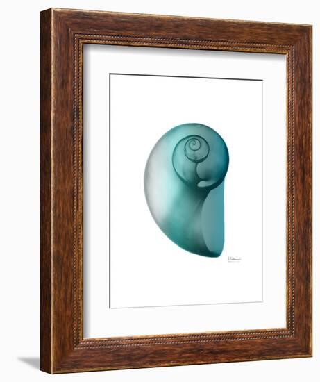 Water Snail 2-Albert Koetsier-Framed Art Print