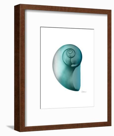 Water Snail 2-Albert Koetsier-Framed Art Print