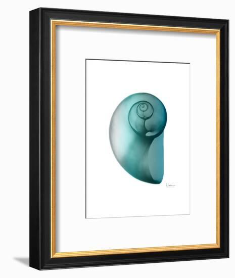 Water Snail 2-Albert Koetsier-Framed Art Print